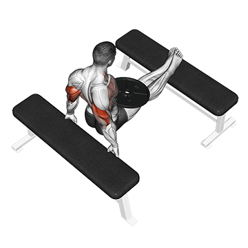 GIF von der Übung Arnold Dips mit Gewicht.