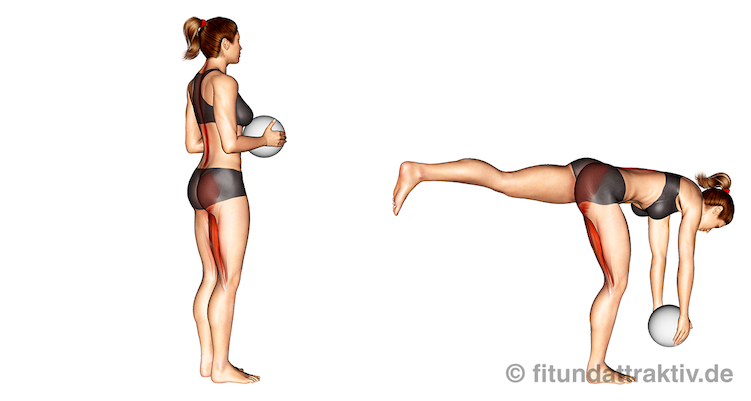 Bild von der Übung einbeiniges Kreuzheben mit Ball.
