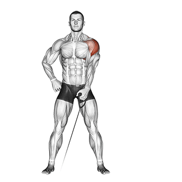 Seitliche Schulter trainieren: GIF von der Übung Einarmiges Seitheben am Kabelzug.