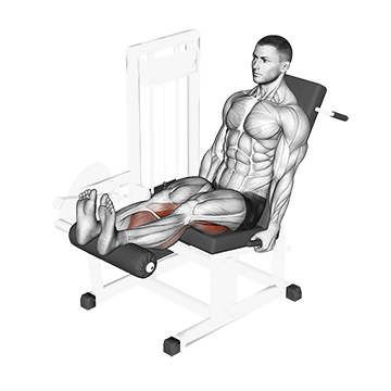 Hintere Oberschenkelmuskulatur: GIF von der Übung Beinbizeps Maschine sitzend.