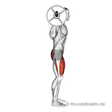 Kniebeugen Muskeln: GIF von der Übung Langhantel Kniebeuge.