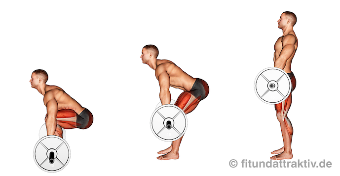 Kreuzheben Muskelgruppen: Bild von der Übung Kreuzheben mit Langhantel.