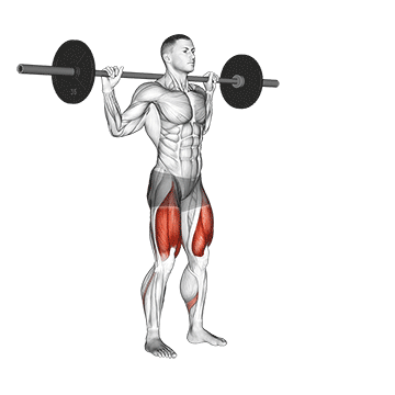 ᐅ Squats Mit Langhantel Und Kurzhanteln Bilder Videos