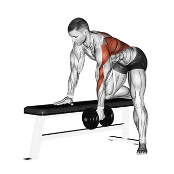 Welche Muskeln werden beim Rudern trainiert? GIF von der Übung Einarmiges Kurzhantelrudern.