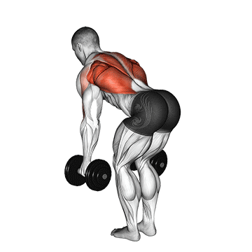 Welche Muskeln werden beim Rudern trainiert? GIF von der Übung Rudern mit Kurzhanteln.