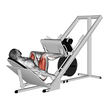 ᐅ Beinpresse Muskeln Top 5 Ausfuhrungen Bilder Videos