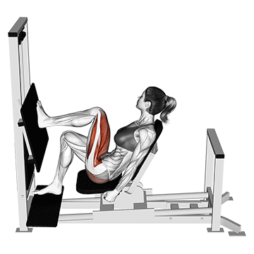 Beinpresse Muskeln: GIF von der Übung Einbeinige Beinpresse horitontal.