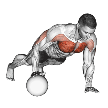 Liegestütze Muskelaufbau: GIF von der Übung Liegestütze einarmig lernen.