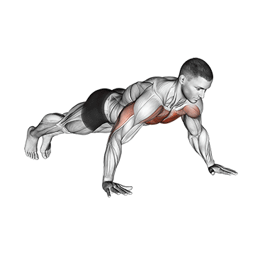 Liegestütze Muskelaufbau: GIF von der Übung Liegestütze klassisch.