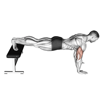 Liegestütze Training: GIF von der Übung Negative Liegestütze.