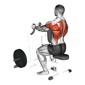 Rudern Muskeln: GIF von der Übung Rudern Maschine enger Griff.