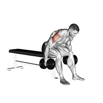 Rückentraining Muskelaufbau: GIF von der Übung Kurzhantel Seitheben vorgebeugt.