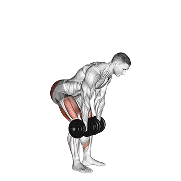 Rückenübungen Muskelaufbau: GIF von der Übung Rumänisches Kreuzheben mit Kurzhanteln.