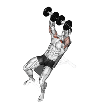 Schultermuskel trainieren: GIF von der Übung Schrägbankdrücken mit Kurzhanteln.