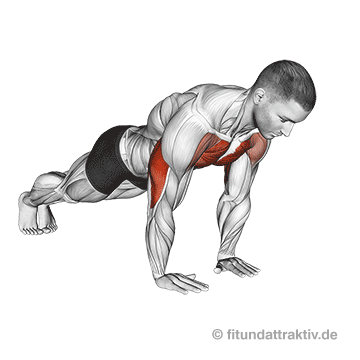 100 Liegestütze am Tag: GIF von der Übung enge Liegestütze.
