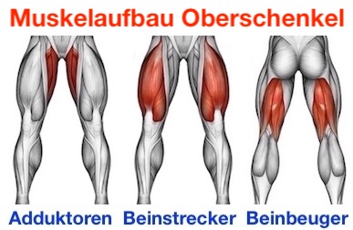 ᐅ Beintraining Ohne Gerate Top 4 Ubungen Bilder Videos