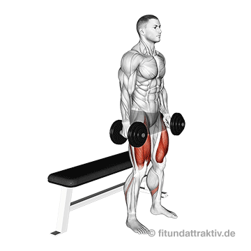 GIF von der Übung Kurzhantel Kniebeugen Box.
