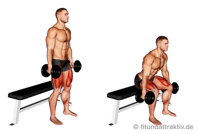 Bild von der Übung Kurzhantel Kniebeugen Box.