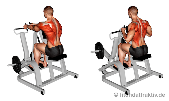 Oberer Rücken Übungen: Bild von der Übung Rudern Maschine eng.