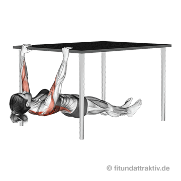 Rückentraining ohne Geräte: GIF von der Übung Rudern unter dem Tisch.