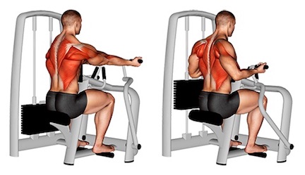 Übungen zur Stärkung der Rückenmuskulatur: Foto von der Übung Rudern am Gerät.