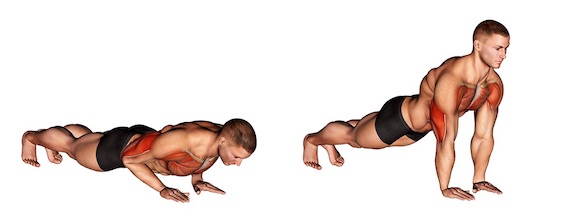Bodyweight Training Muskelaufbau: Foto von der Übung Trizeps Liegestütze.