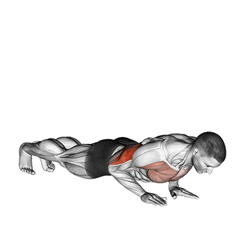 Bodyweight Trainingsplan PDF: GIF von der Übung Trizeps Liegestützen.