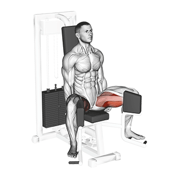 Muskelaufbau Beine: GIF von der Übung Adduktorenmaschine.
