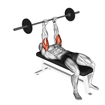 Nosebreakers workout outlet