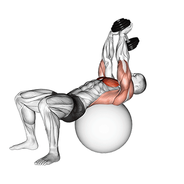 Sägezahnmuskel trainieren: GIF von der Übung Kurzhantel Überzüge Gymnastikball.