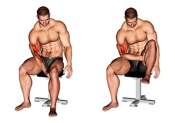 ᐅ Krafttraining Zu Hause Ohne Gerate Bilder Videos