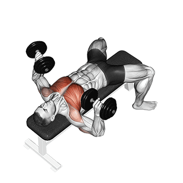 Muskelaufbau Oberkörper: GIF von der Übung Flachbankdrücken.