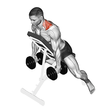 Stiernacken Übungen: GIF von der Übung Kurzhantel Schulterheben vorne sitzend.