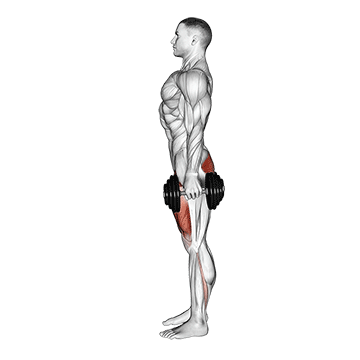 Beine trainieren ohne Geräte: GIF von der Übung Klassische Kniebeugen mit Kurzhanteln.