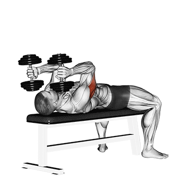 french_press_bodybuilding-2_kurzhanteln.gif