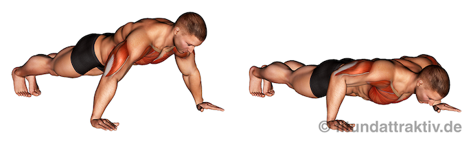 Ganzkörper Workout ohne Geräte: Bild von der Übung breite Liegestütze.