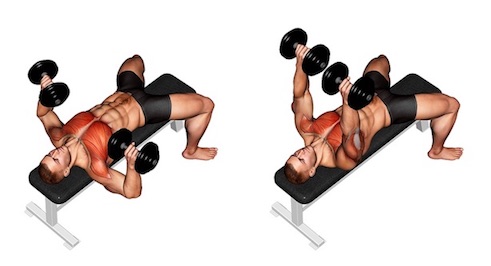 ᐅ Muskeltraining Zu Hause Mit Kurzhanteln Bilder Videos