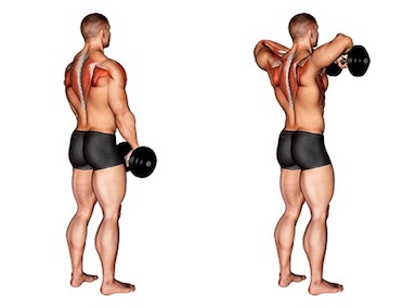 Übungen für den Nacken: Foto von der Übung Kurzhantel Rudern aufrecht.