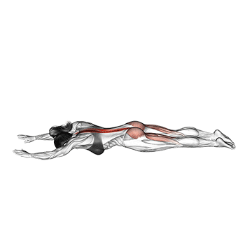 Oberer Rücken Übungen ohne Geräte: GIF von der Übung Rückenheben liegend.