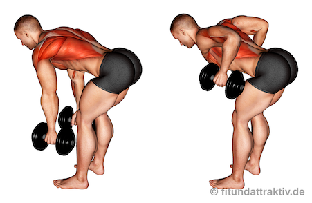 Rückentraining Kurzhantel: Bild von der Übung Rudern beidarmig.