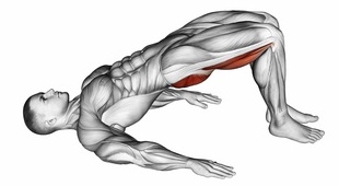 Rückenübungen Muskelaufbau ohne Geräte: Foto von der Übung Beckenheben für Anfänger.