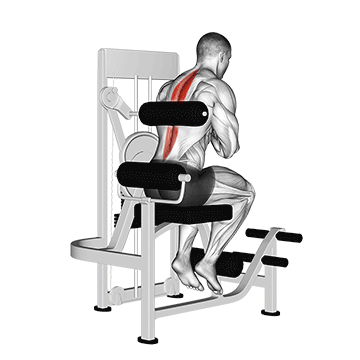 Rückenübungen unterer Rücken: GIF von der Übung Hyperextension Gerät.