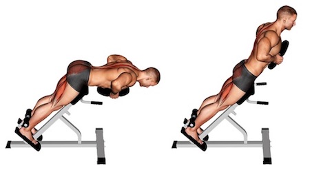 Muskelaufbau unterer Rücken: Foto von der Übung Rückenstrecken Gerät.