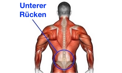 Foto vom Muskelaufbau unterer Rücken.