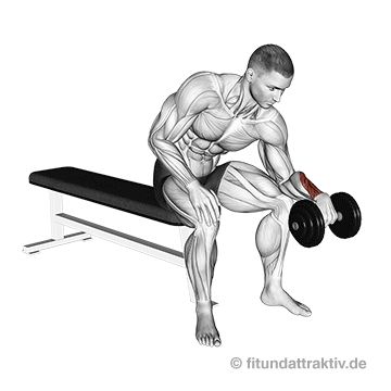 Unterarm trainieren ohne Geräte: GIF von der Übung Unterarm Curls Kurzhantel Obergriff.