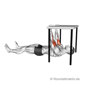 Bizeps Training ohne Hilfsmittel: GIF von der Übung Bizeps unter dem Tisch.