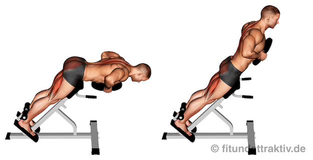 Übungen für den Rücken Muskelaufbau: Bild von der Übung am Hyperextension Gerät.