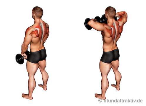 Übungen für den Rücken Muskelaufbau: Bild von der Übung Kurzhantel Rudern aufrecht.