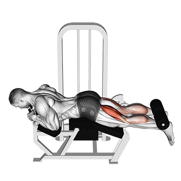 Beine Muskelaufbau: GIF von der Übung Beinbeugen Maschine.