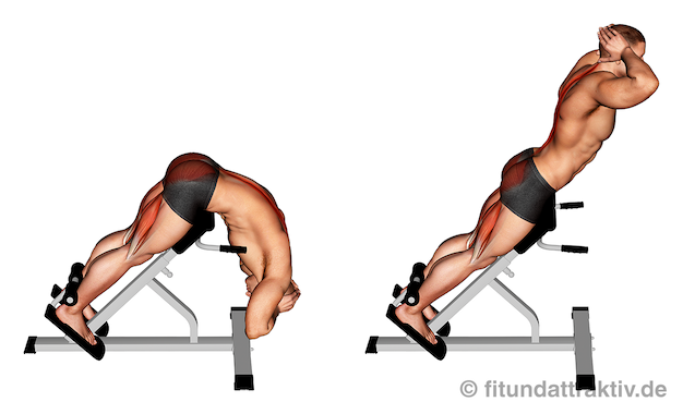 Bild von der Übung Hyperextensions mit Gerät.